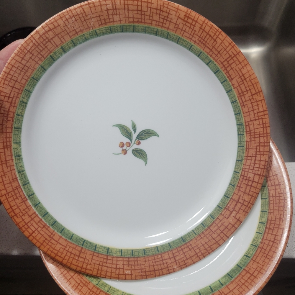 Pair of 2 Corelle By Corning Spiceberry Plates Lunch or Dinner Plate, holiday